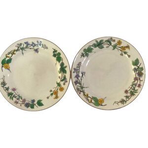 Woodhill By Citation Floral Salad Lunch Plates Set Of 2 Wildflower Dinnerware